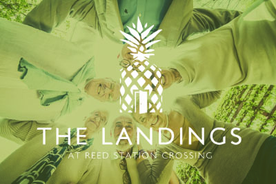 landing website design