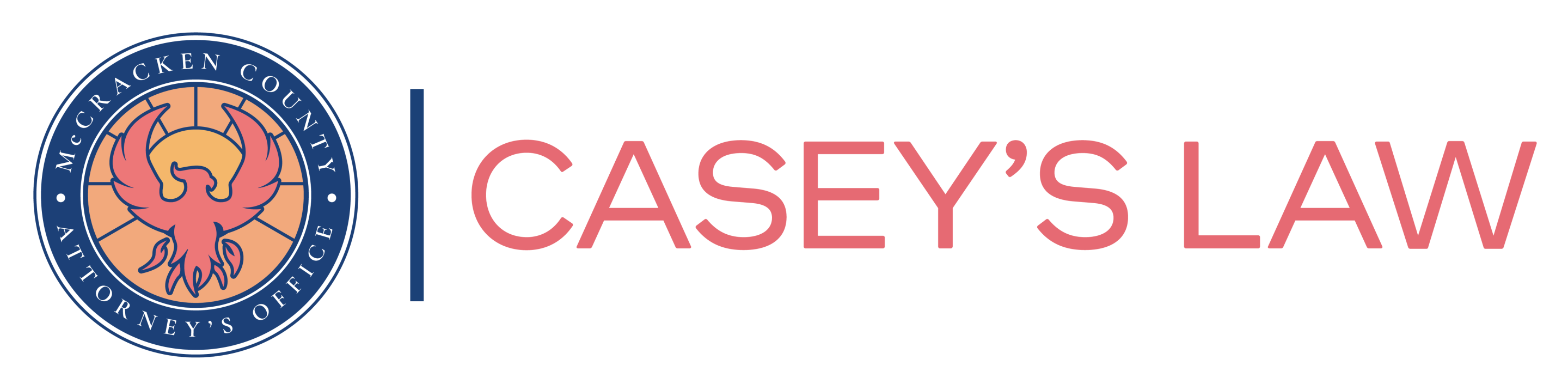 Socially Present | Portfolio | Casey's Law